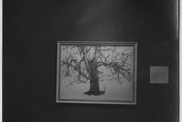 The Museum of Modern Art Archives, New York