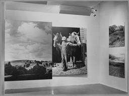Installation photo, 11 of 35