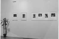 Birds in Color: Flashlight Photographs by Eliot Porter. Mar 10–Apr 18, 1943. 3 other works identified