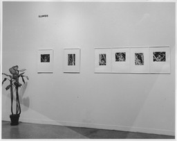 Installation photo, 3 of 6