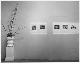 Installation photo, 4 of 6