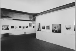 The Museum of Modern Art Archives, New York