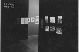 The Museum of Modern Art Archives, New York