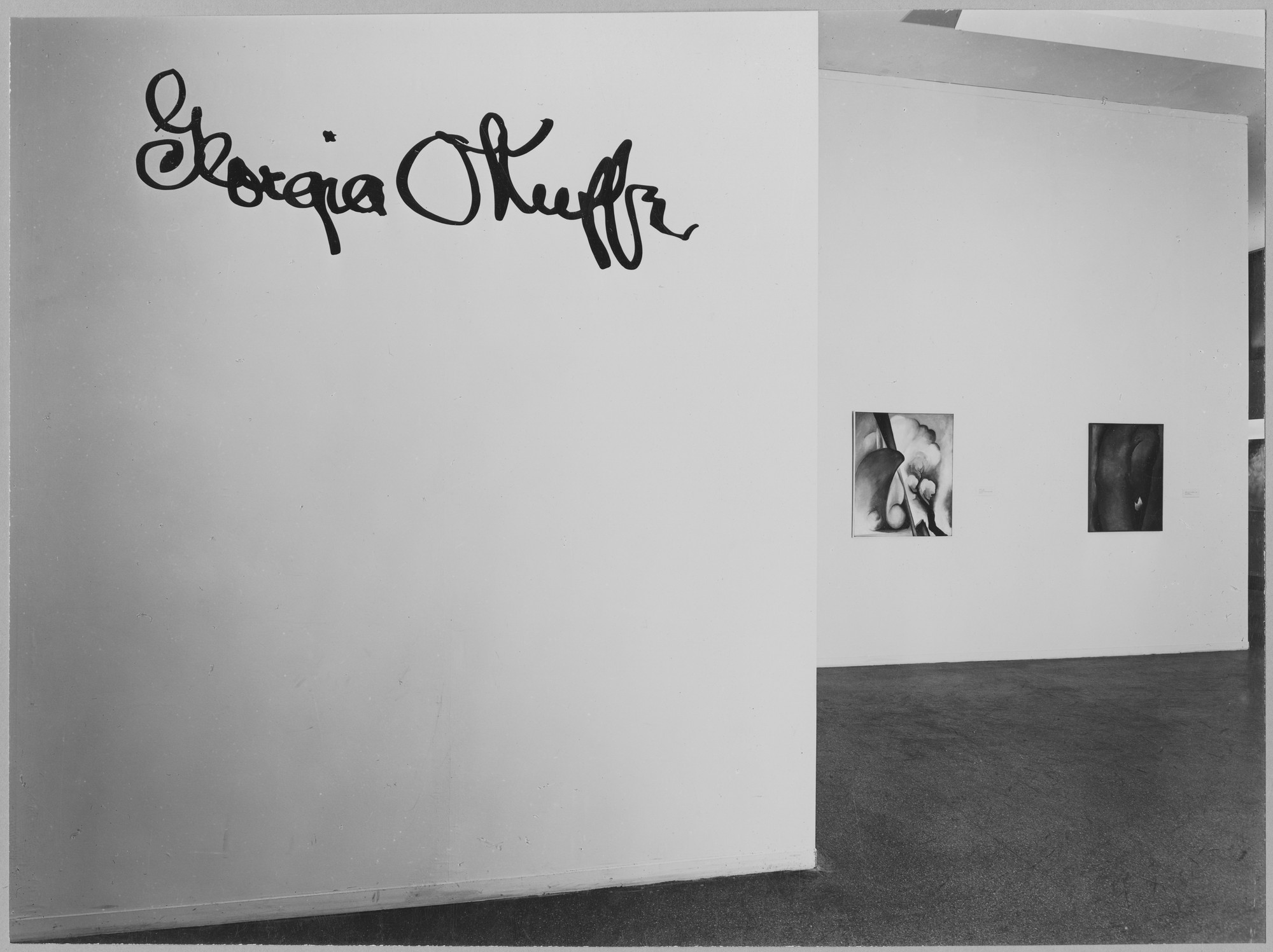Installation view of the exhibition, "Georgia O'Keeffe." May 14, 1946–August 25, 1946. Photographic Archive. The Museum of Modern Art Archives, New York. IN319.1. Photograph by Soichi Sunami.