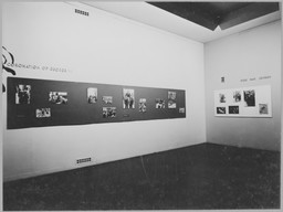 Installation photo, 6 of 6