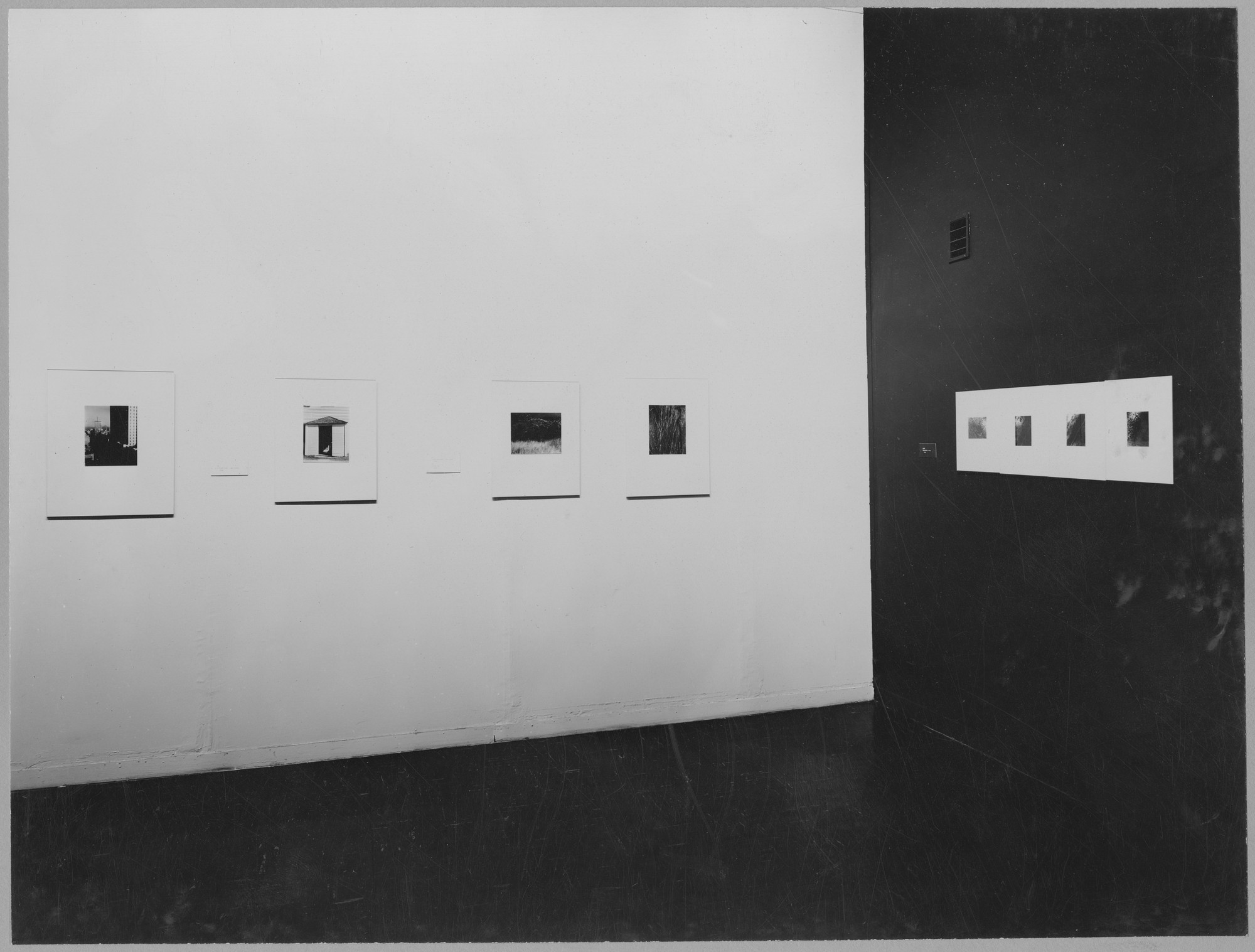 Alfred Stieglitz Exhibition: His Photographs | MoMA