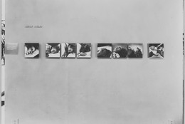 The Museum of Modern Art Archives, New York