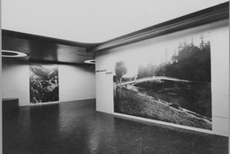 The Museum of Modern Art Archives, New York