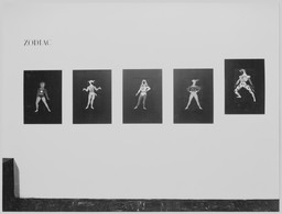 Installation photo, 4 of 7