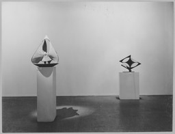 Installation photo, 22 of 27
