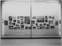 Installation photo, 2 of 26
