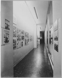 Installation photo, 4 of 26