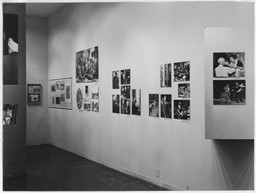Installation photo, 15 of 26