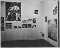 Installation photo, 17 of 26