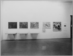 Installation photo, 4 of 51