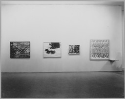 Installation photo, 6 of 51