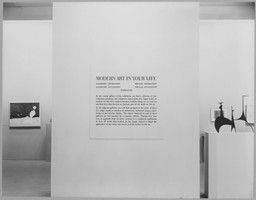 Installation photo, 19 of 26