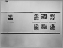 The Museum of Modern Art Archives, New York