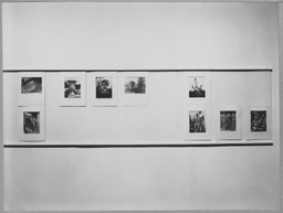 Installation photo, 4 of 12