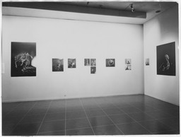 Installation photo, 4 of 7