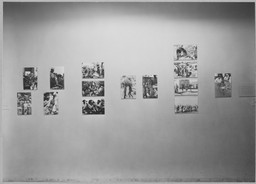 Installation photo, 6 of 10