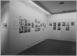 Installation photo, 8 of 10
