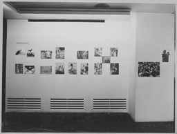Installation photo, 10 of 17