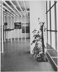 Installation photo, 4 of 8