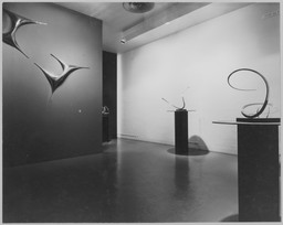 Installation photo, 11 of 12