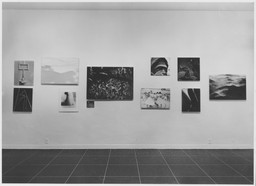 Installation photo, 2 of 53