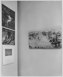 Installation photo, 3 of 53