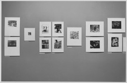 Installation photo, 19 of 53