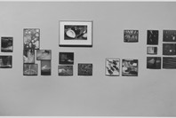 Photographs from the Museum Collection. Nov 26, 1958–Jan 18, 1959. 1 other work identified