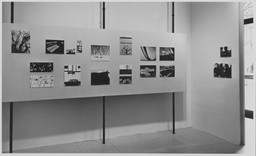 Installation photo, 51 of 53