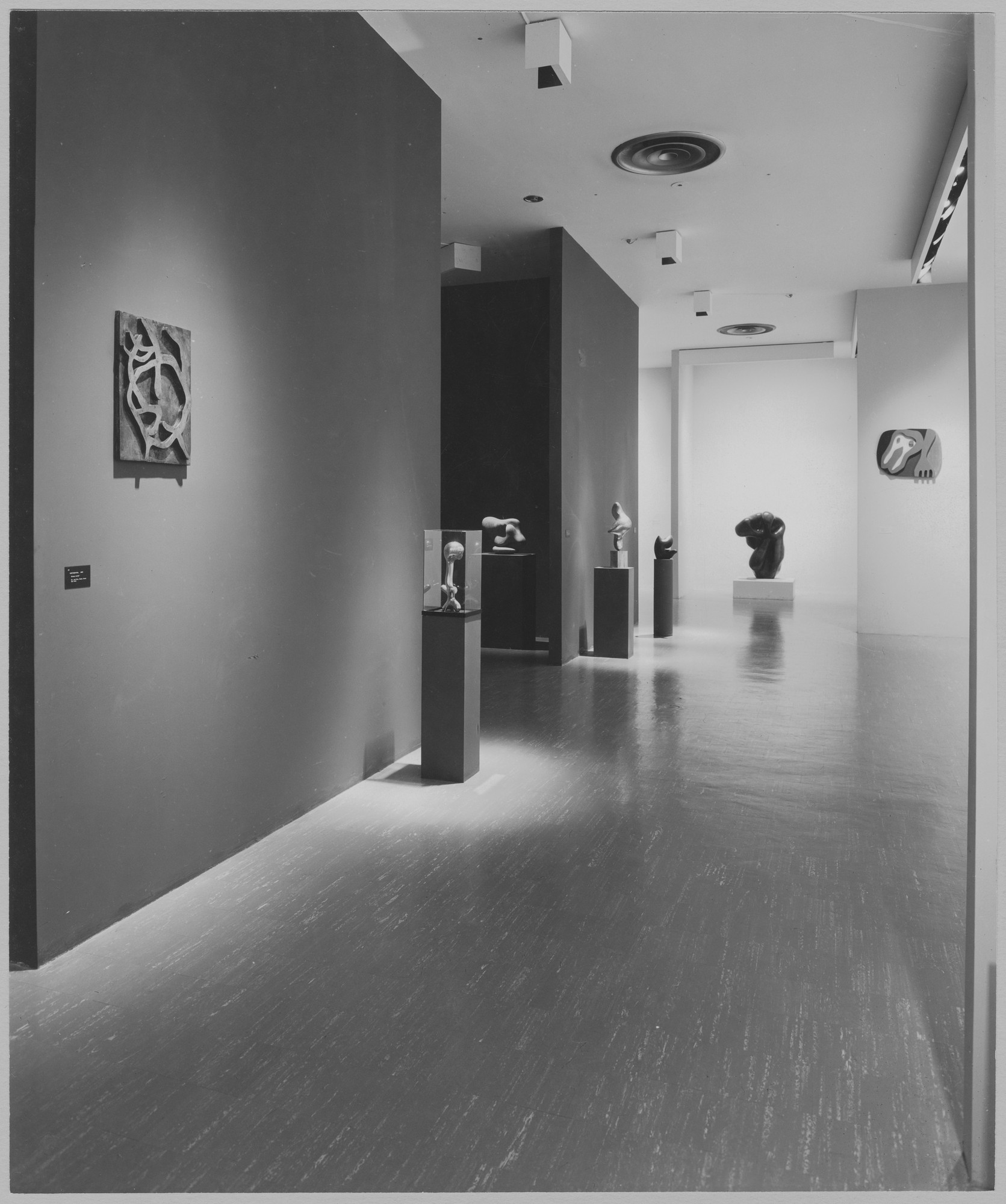 Jean Arp: A Retrospective | MoMA