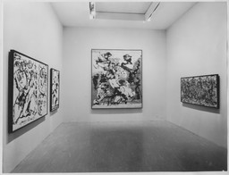 Installation photo, 3 of 25