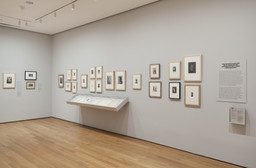 Installation photo, 6 of 30