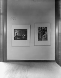 Installation photo, 20 of 21