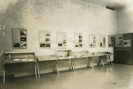 The Museum of Modern Art Archives, New York