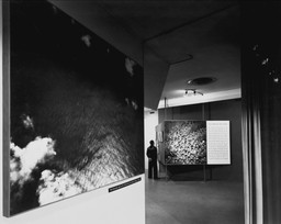 Installation photo, 1 of 49