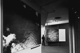 The Museum of Modern Art Archives, New York