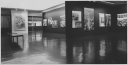 Installation photo, 6 of 9