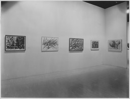 Installation photo, 6 of 25