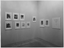 Installation photo, 13 of 14