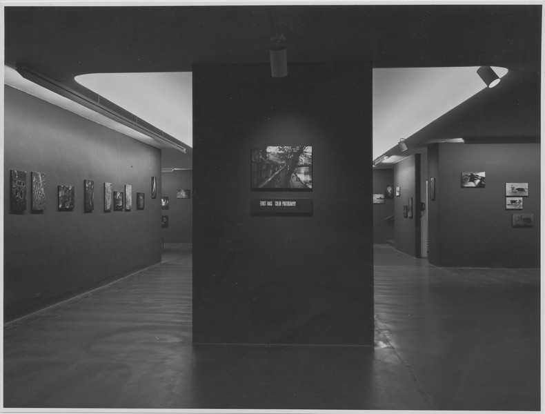 Ernst Haas: Color Photography | MoMA