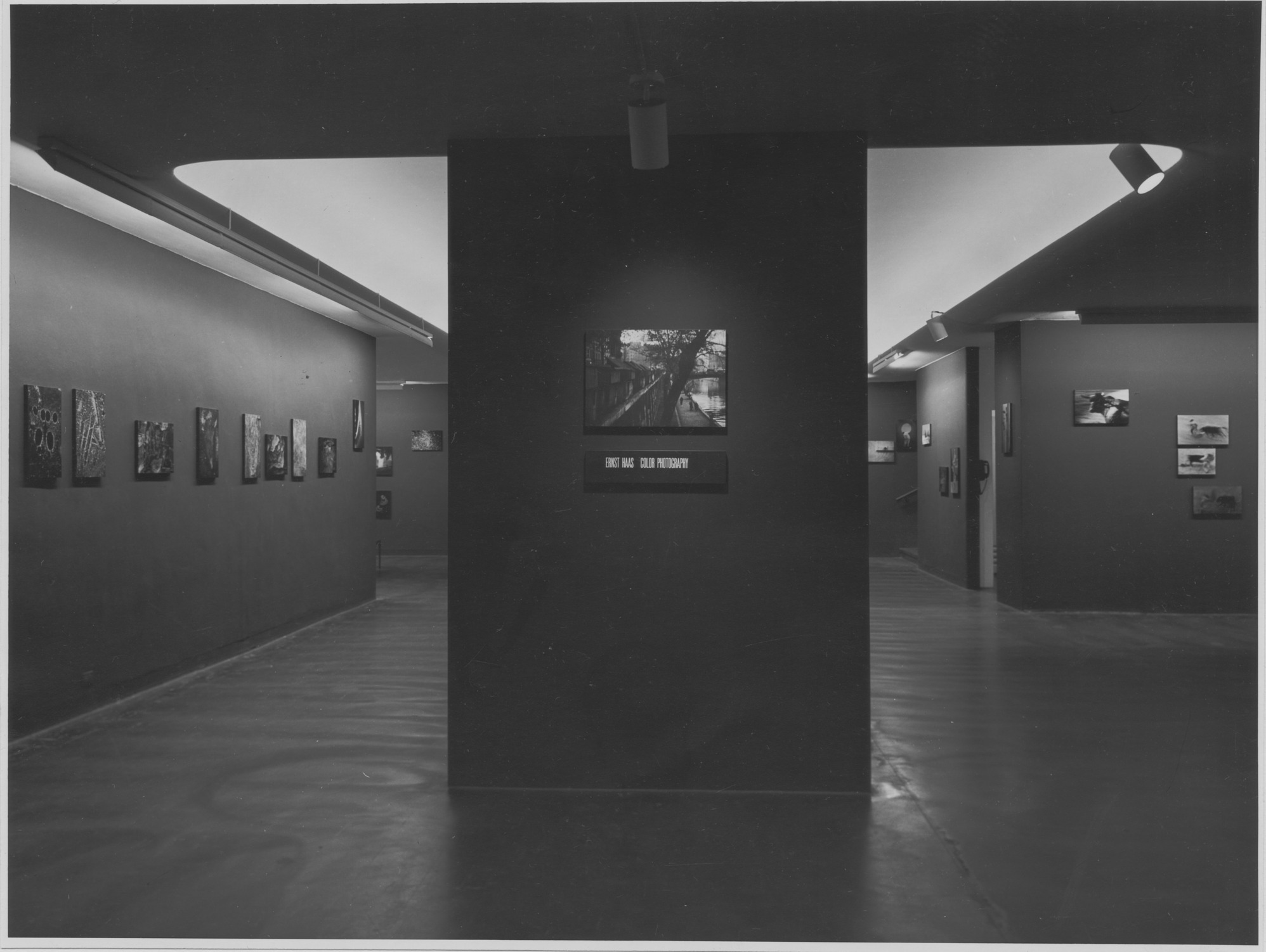 The Museum of Modern Art Archives, New York