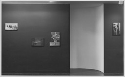 Installation photo, 9 of 15