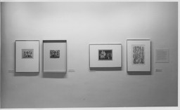 Installation photo, 6 of 8