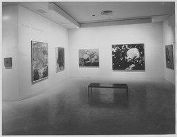 Installation photo, 5 of 17