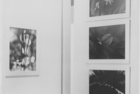 Five Unrelated Photographers. May 28–Jul 21, 1963.